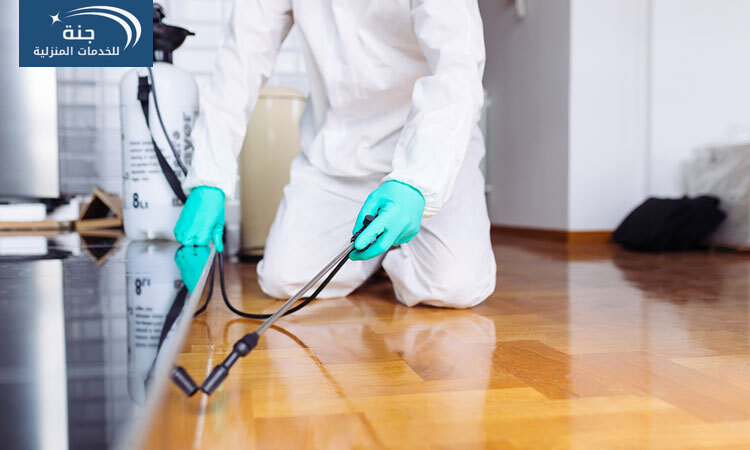 شركة مكافحة حشرات بمكة