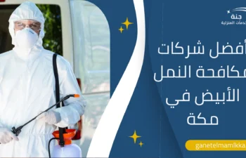 شركات مكافحة النمل الأبيض في مكة