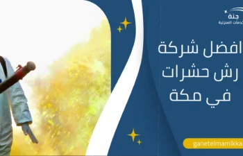 شركة رش حشرات في مكة