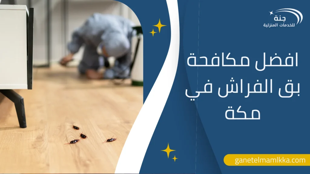 افضل مكافحة بق الفراش في مكة