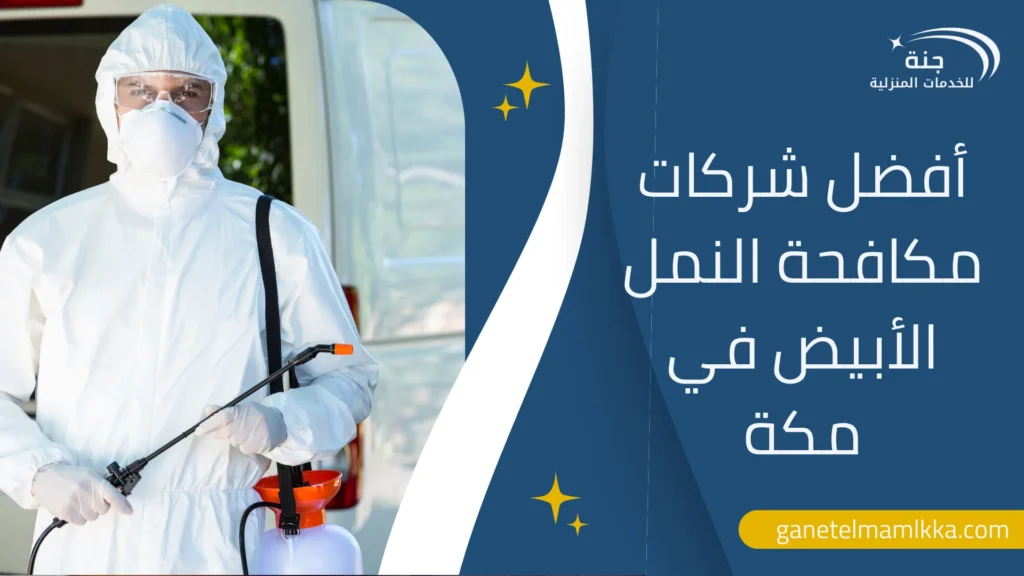 افضل شركات مكافحة النمل الأبيض في مكة