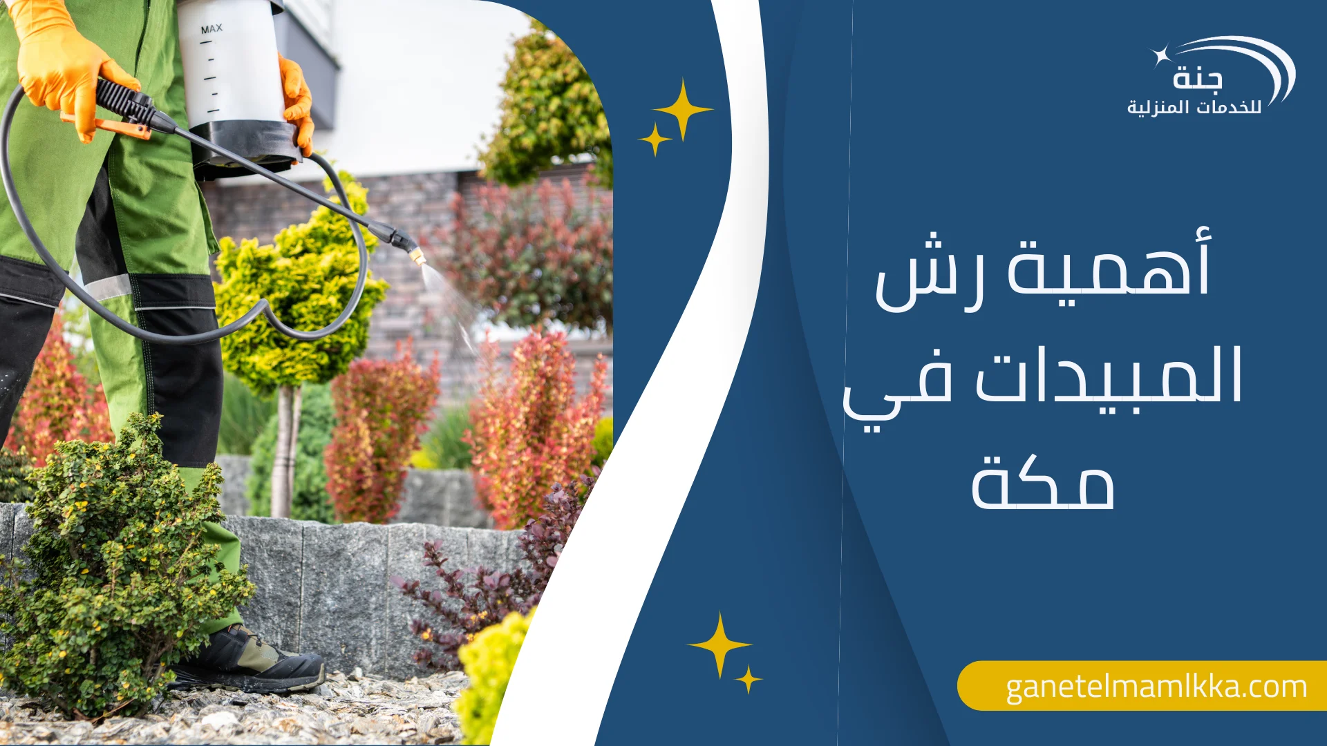 شركة لرش المبيدات في مكة