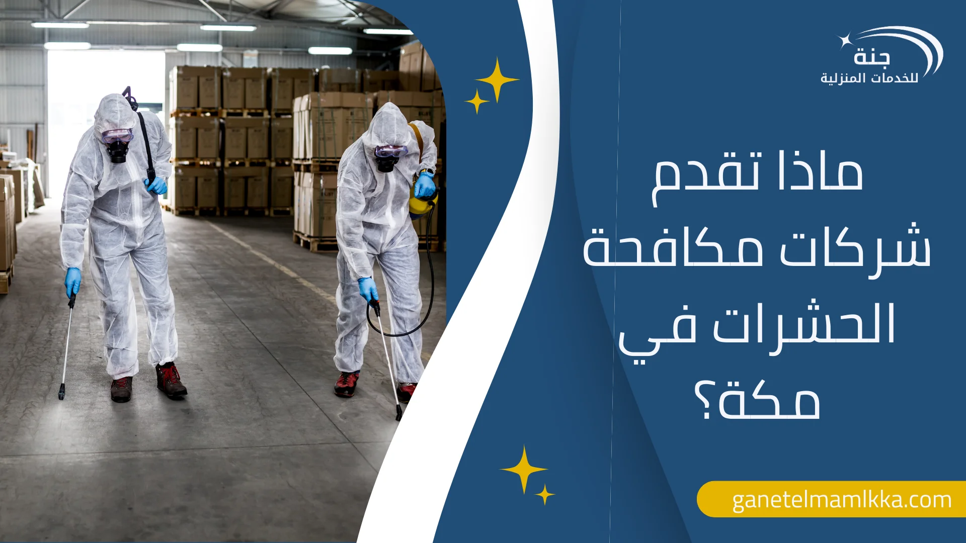 أفضل شركات مكافحة الحشرات في مكة