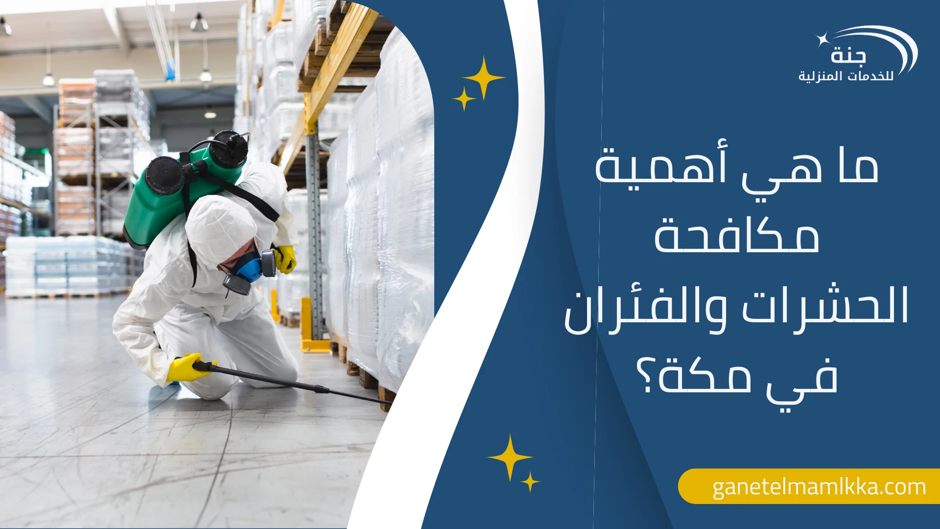 أفضل شركة مكافحة حشرات وفئران في مكة