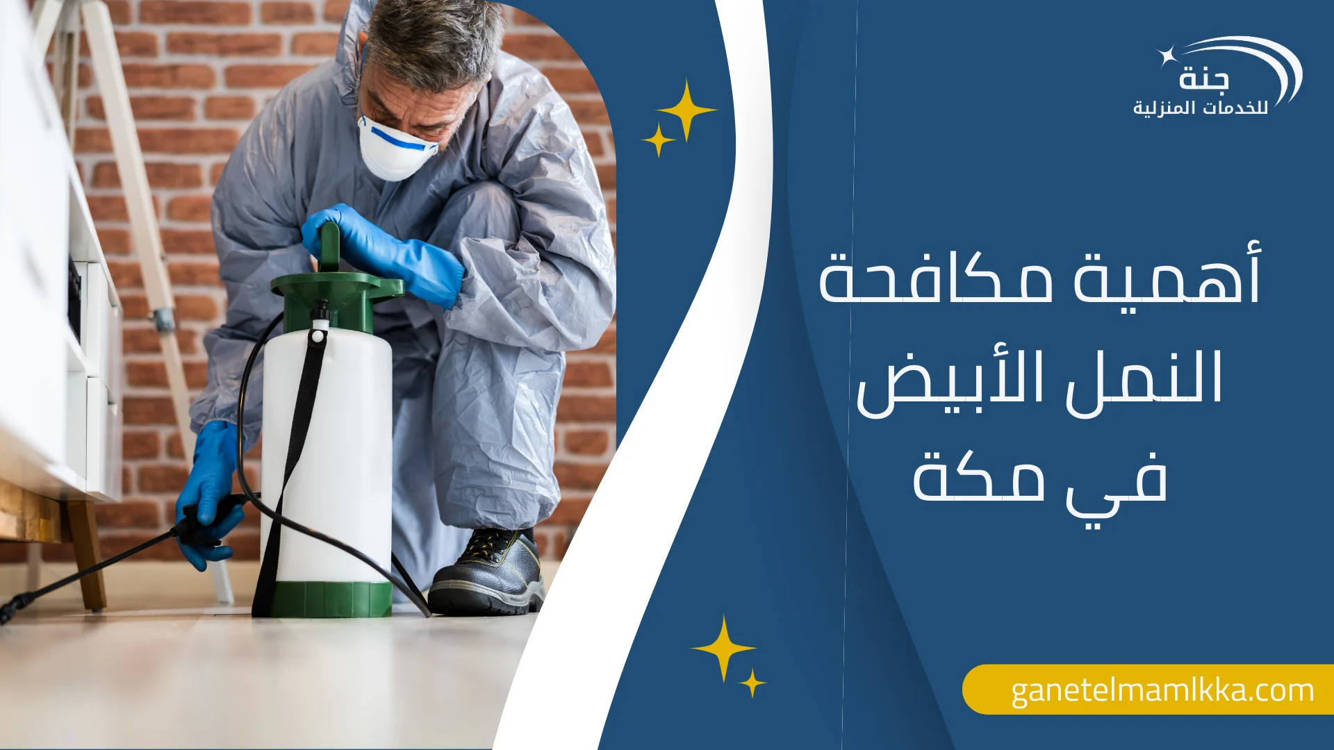 شركات مكافحة النمل الأبيض في مكة