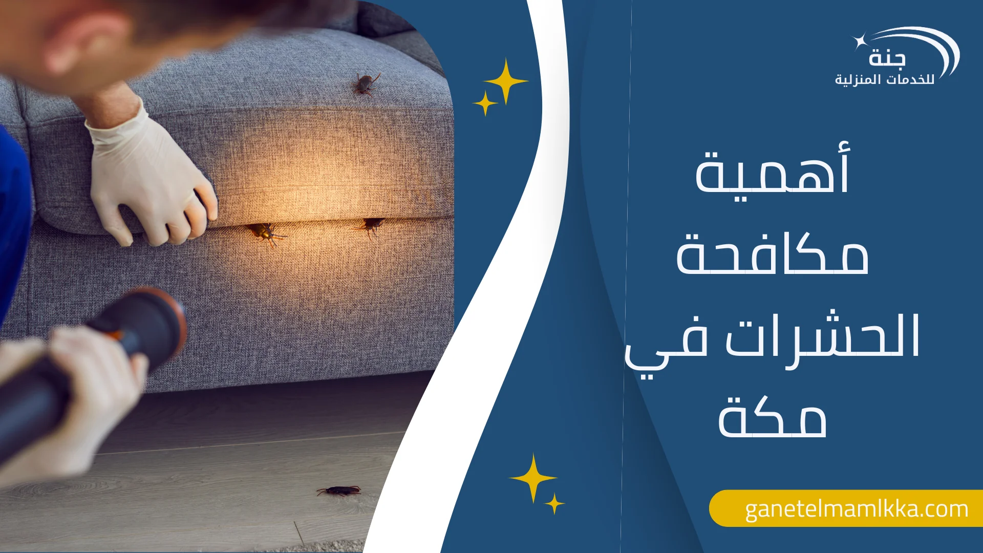 شركات مكافحة الحشرات في مكة