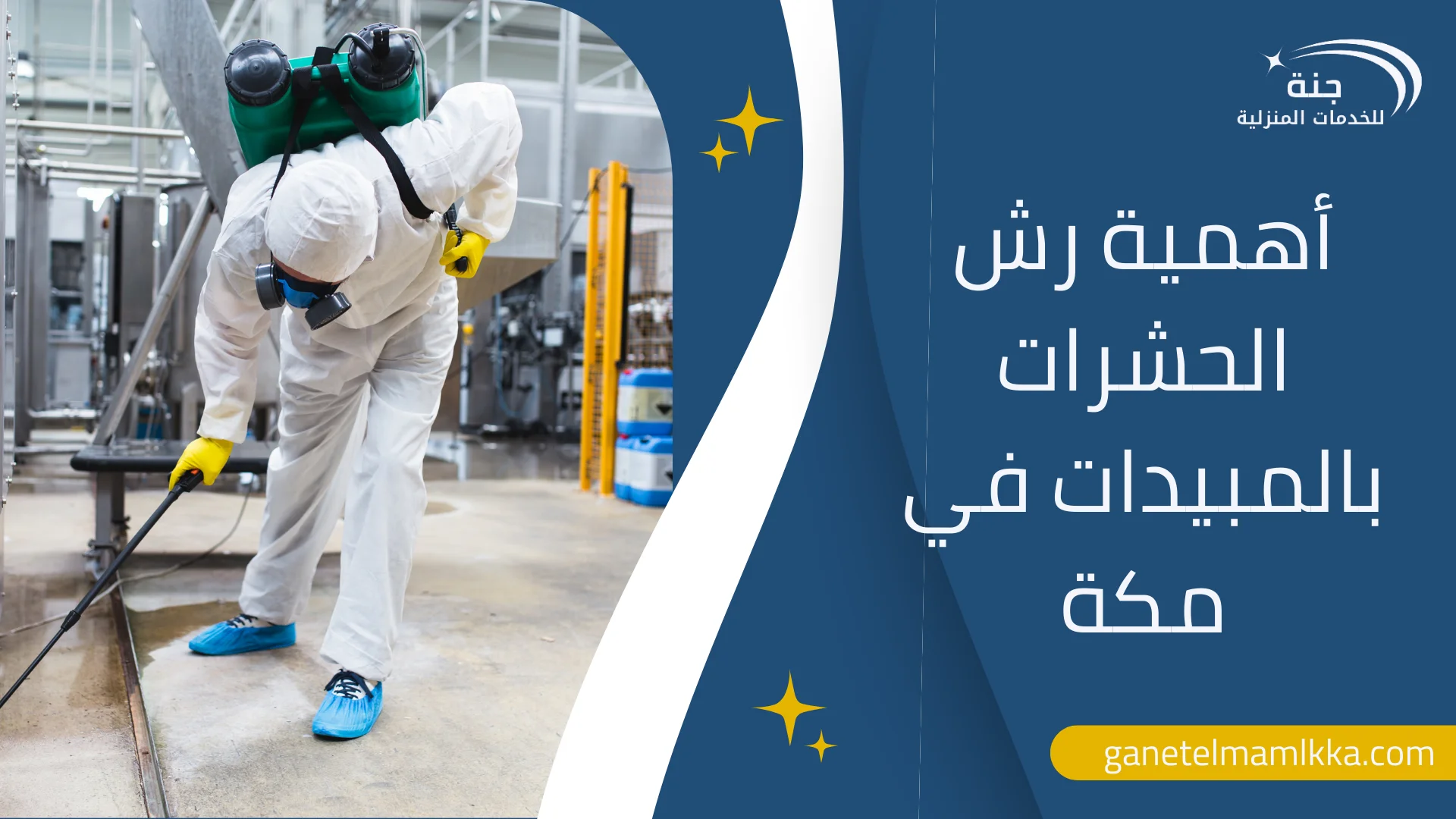 شركة رش حشرات في مكة