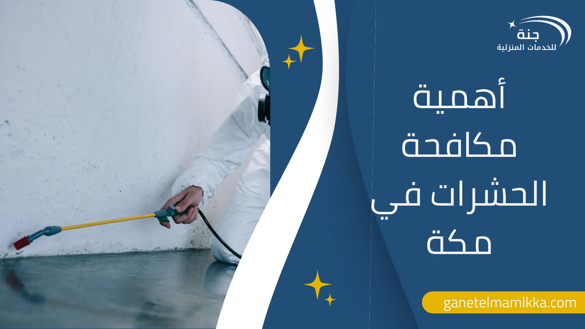 أفضل شركة مكافحة حشرات في مكة