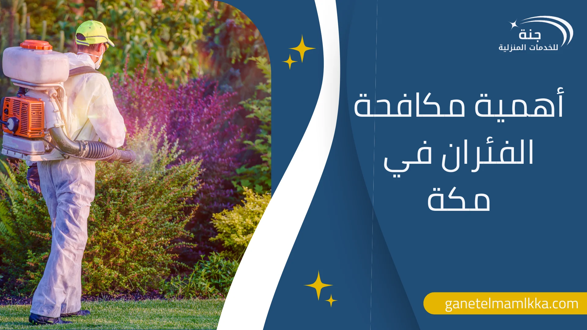 شركة مكافحة الفئران في مكة