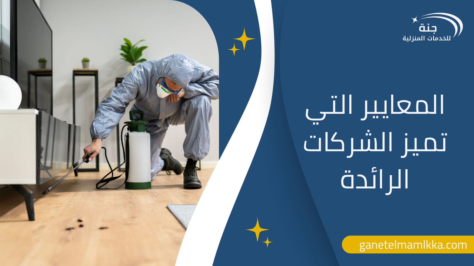 المعايير التي تميز الشركات الرائدة