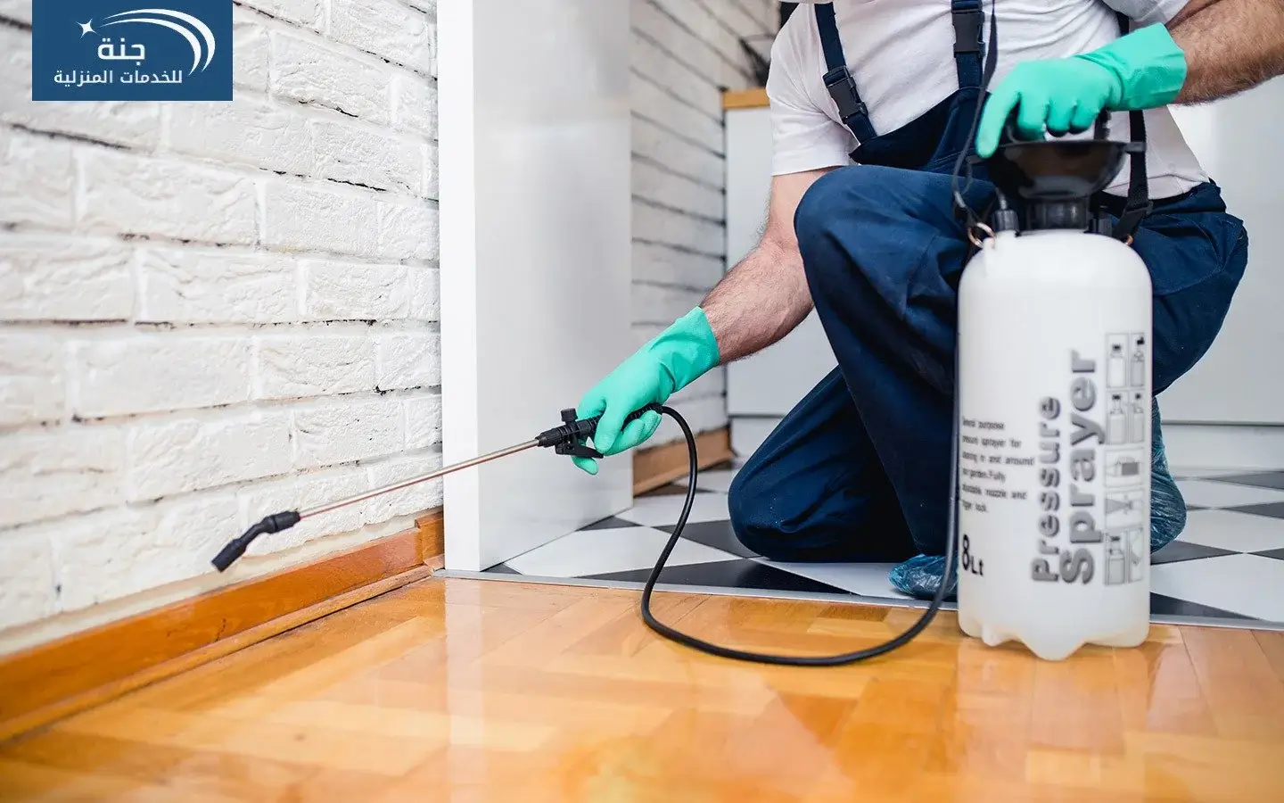 افضل شركة رش حشرات في جدة - جنه السعوديه